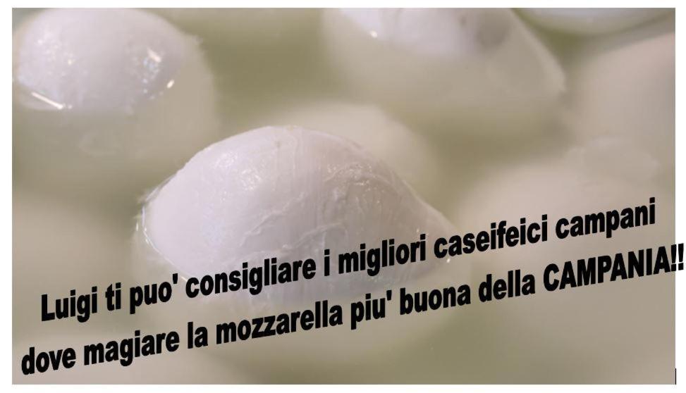 Apartment A Casa Di Luigi